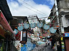 -猫咪博物馆(顶澳仔猫街店)