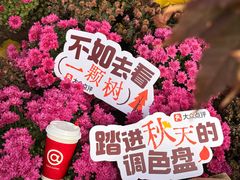 -麦当劳(双榆树店)