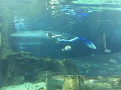 -北戴河圣蓝海洋公园