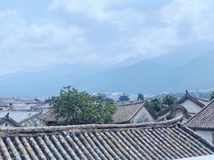 -喵屿·大理花园猫咖