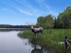 -溱湖国家湿地公园