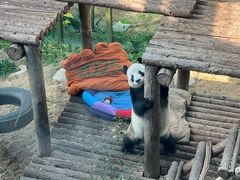 -大连森林动物园