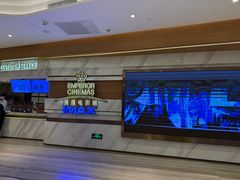 -英皇电影城(英皇集团中心IMAX店)