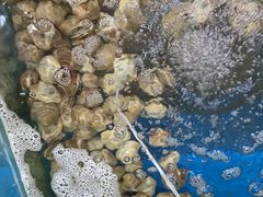 -雅逸居海鲜小厨