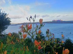 -北港方记海鲜楼·海景餐厅