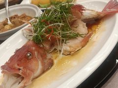 -金汇酒楼(中山东区店)