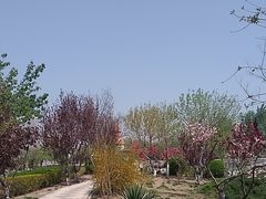 -绿岛公园(滨海新区)