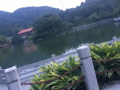 -广州市帽峰山景区