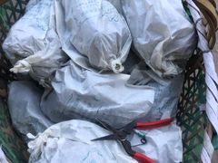 -马陆小张葡萄园农家乐