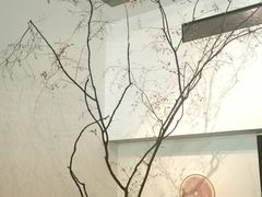 -苏州本色美术馆