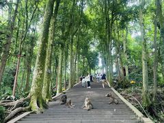 -峨眉山风景名胜区