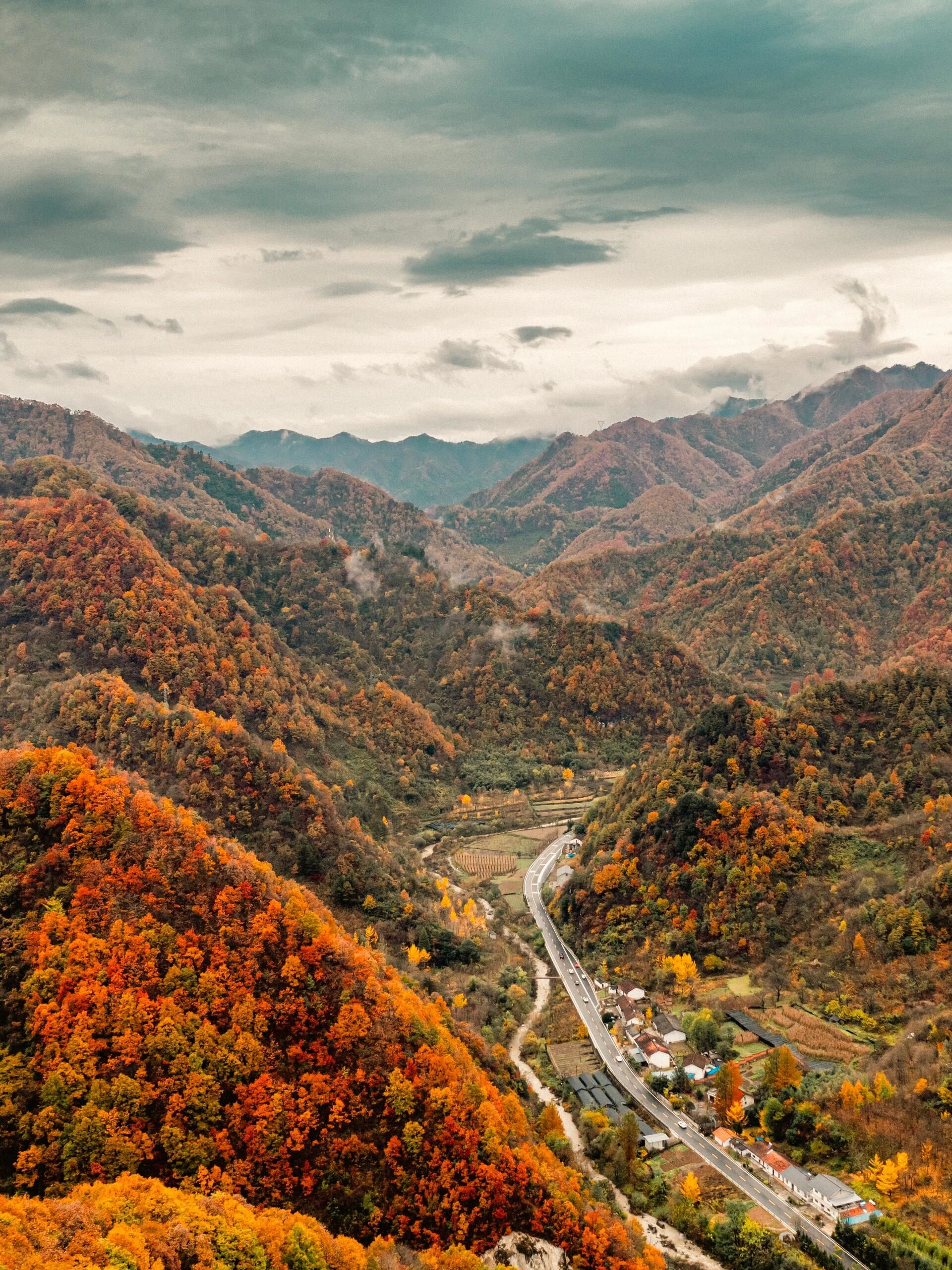 接下来的秦岭秋色🍁是这样的