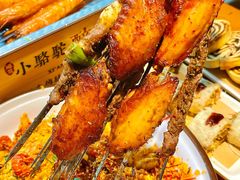 -福苗小骆驼烧烤(莲湖路店)