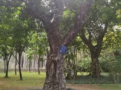 -南宁南湖公园