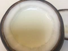 -志龙皇冠吃货椰子铺
