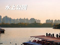 -天津水上公园