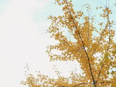 -大连植物园