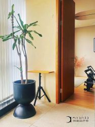 -阿南达·瑜伽普拉提·阿育吠陀疗愈中心