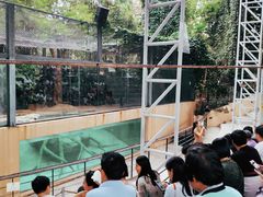 -清迈夜间动物园