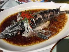 -同喜烤鸭店(光芒店)