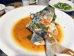 -印象鲵宴·张家界地标美食名片(溪布街店)