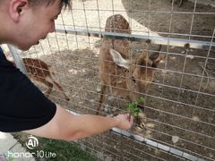 -迪茵湖田家舍生态农场