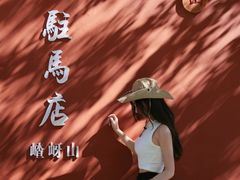 -嵖岈山风景区