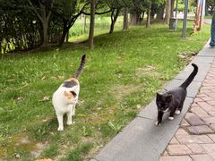 -同里国家湿地公园