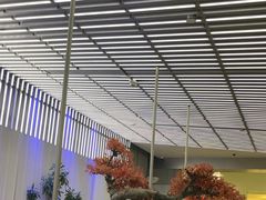 -苏小柳点心·手作小笼包(浦东嘉里城分院)