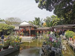 -荔湾湖公园