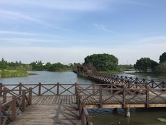 iphone_upload_pic-梁鸿国家湿地公园