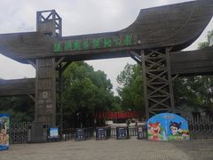 -溱湖国家湿地公园