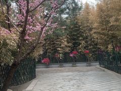 -红螺寺