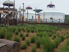 -西海岸生态观光园