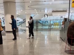 -麦当劳(北京大兴机场二层国内到达(安检外)店)