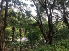 -深圳龙潭公园
