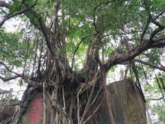 -乌山风景区