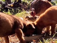 -视禾摄影培训(越秀区分部)