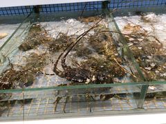 -新海利(北岭店)