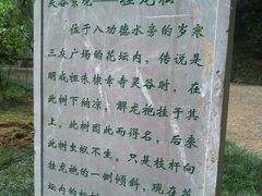 -灵谷景区
