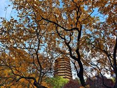-玲珑塔公园