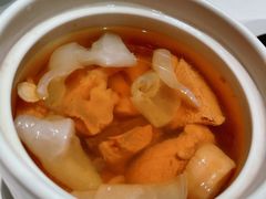花胶炖螺头汤-新荣记(建国门外大街店)
