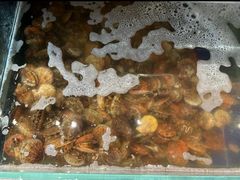 -北方饺子王·海肠捞饭·海鲜锅(山大店)