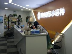 -槿言教育·雅思托福·国际教育·小语种培训留学中心(观音桥店)