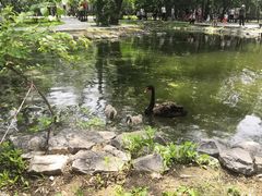 -北京麋鹿生态实验中心