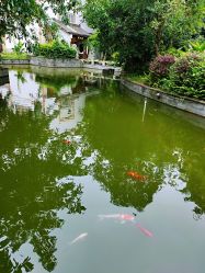 -莲生母婴月子中心(清水河公园店)