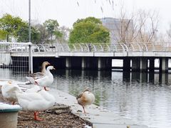 -同济大学(嘉定校区)