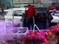-章云板鸭(评事街店)