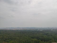 -灵谷景区