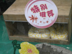 _SAM6930-上海大自然野生昆虫馆